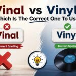 Vinal vs Vinyl: Which Is The Correct One To Use?