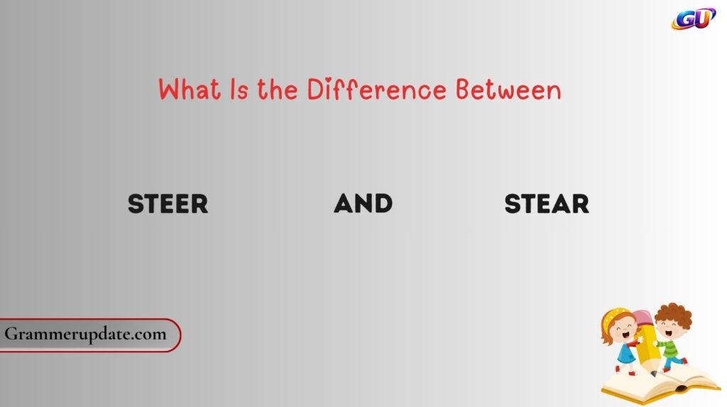 What Is the Difference Between Steer and Stear?