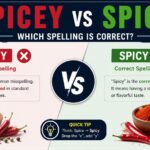 Spicey vs Spicy Which Spelling Is Correct? Complete Grammar Guide (2026)
