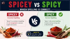 Spicey vs Spicy Which Spelling Is Correct? Complete Grammar Guide (2026)