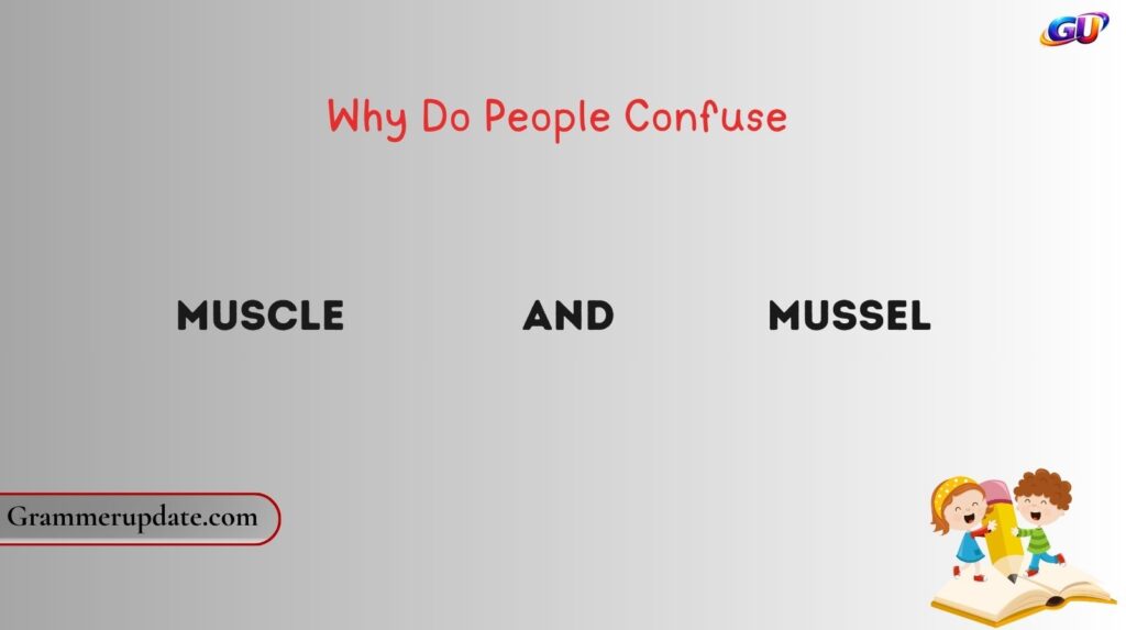 Why Do People Confuse Muscle and Mussel?