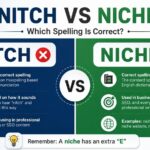 Nitch vs Niche Difference: Which Spelling Is Correct?